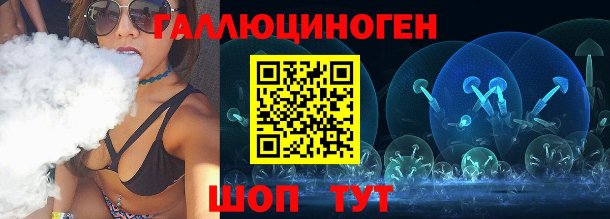 Галлюциногенные грибы Psilocybine cubensis Камышин