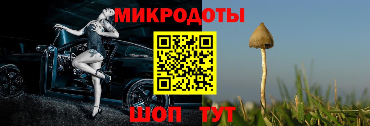 Камышин  наркотики  Вход с VPN  Галлюциногенные грибы MAGIC MUSHROOMS 